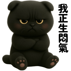 Cheeky black cat so cute (TWN)