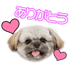 My beloved Hana Hara