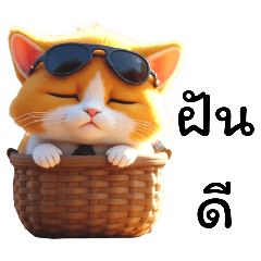 Baby Cat (แมวส้ม) น่ารัก