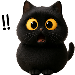 little black cat very cute