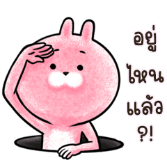 ต่ายน้อย ปิ๊กกี้