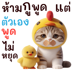 เหมียวหมวกไก่เจี๊ยบ Cute Cute