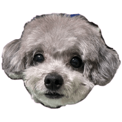 Karin_20250529201435