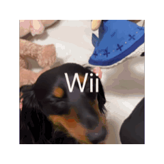 konnitiwa_20250529235141