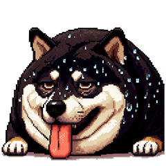 Pixel art no word fat black shiba dog2