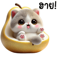 ลูกแมวบริติช ช็อตแฮร์ สีเทา-ขาว น่ารัก