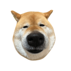 michan_20250530010749