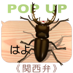 Miyama stag on the smartphone 5