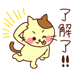 cute cat Taiwanese