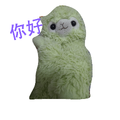 可愛的羊駝  哇殺米