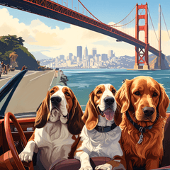 Goldenretriever&Bassethounds in San Fran