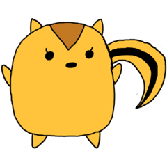 kotomin squirrel