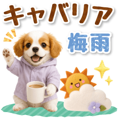 大人可愛いキャバリアで梅雨の気づかい敬語