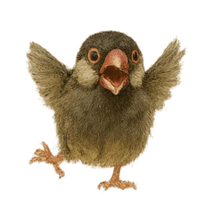 Mizuhoflower_20250529235853