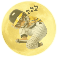 I love baseball 13