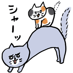 Gray Cat Meow Meow & Cat Friends