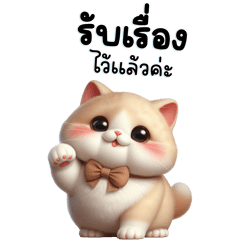 Workday Cat Chat: Playful & Cute!