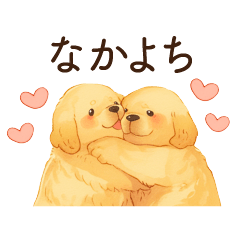 Golden Retriever(love)