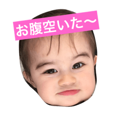 Sumire 1year old