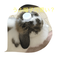 Rabbitstory