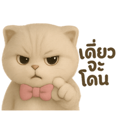 Lovely Cat Talk: Purrfect for Chats!
