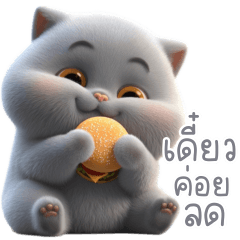 ลูน่า แมวอ้วนสีเทาน่ารัก 1_44