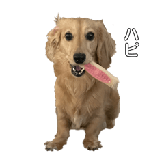 I'll always be with you.2