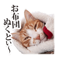 Cat of Ibaraki dialect "Boss-san" vol.2