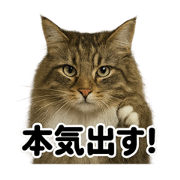 MINA_20250531192644