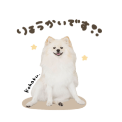 湖白くん☆スタンダード