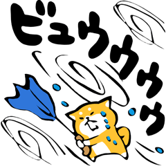 ふでしば【雨の日】柴犬
