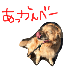 ...cocochan...