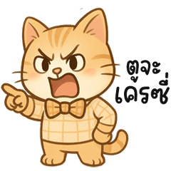 Trendy Cat Phrases: Cute & Playful Meows