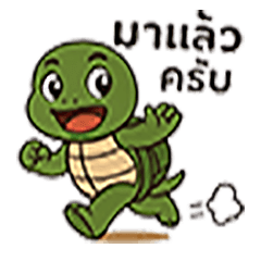 Naughty little turtle V4