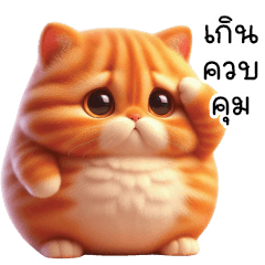 Cute Naughty Orange Cat 2