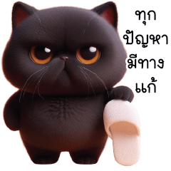 Cute Naughty black Cat