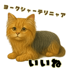 やばカワ空想ねこ図鑑で癒される