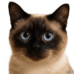 だいずスタンプ Vol.1（やさしく伝えたい）