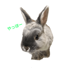 Yamada_20250530162618