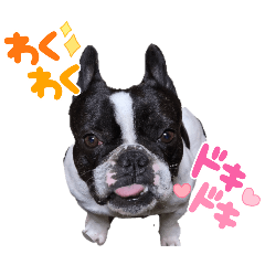 kotetsu_20250530171047