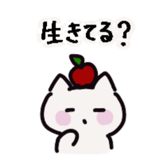 michiko_20250530180052