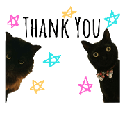 Blackcat jijikiki