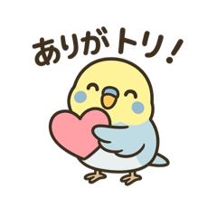 セキセイインコのしゅわちゃん