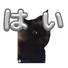 hiroki_20250531105116