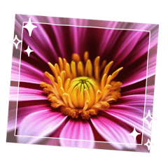 Flower message sticker.Immediate reply
