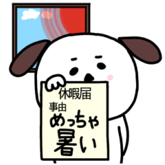 negative cute dog  summer