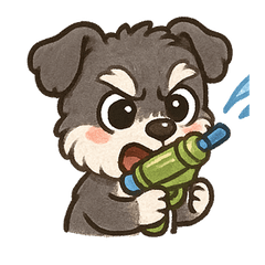 Schnauzer Summer Fun