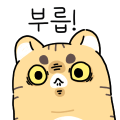 Diary of a Cat's Emotional Outburst