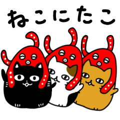 Cat and Octopus(NEKONITAKO)