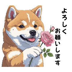 minineko_20250531232101